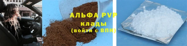 ГАЛЛЮЦИНОГЕННЫЕ ГРИБЫ Беломорск
